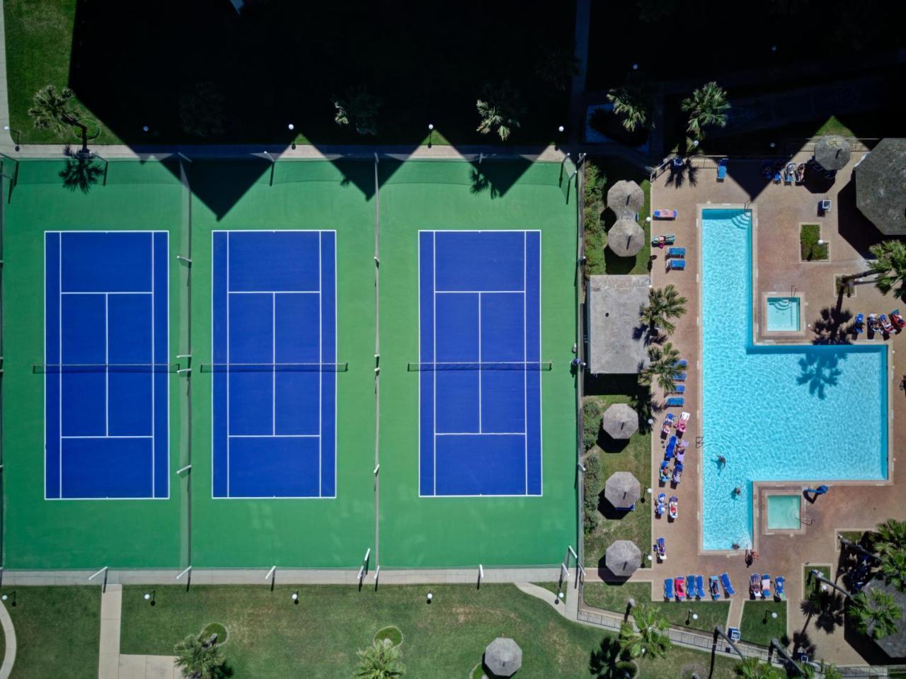 Saida Lejlighedshotel South Padre Island Eksteriør billede